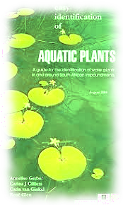 [aquatic plants]